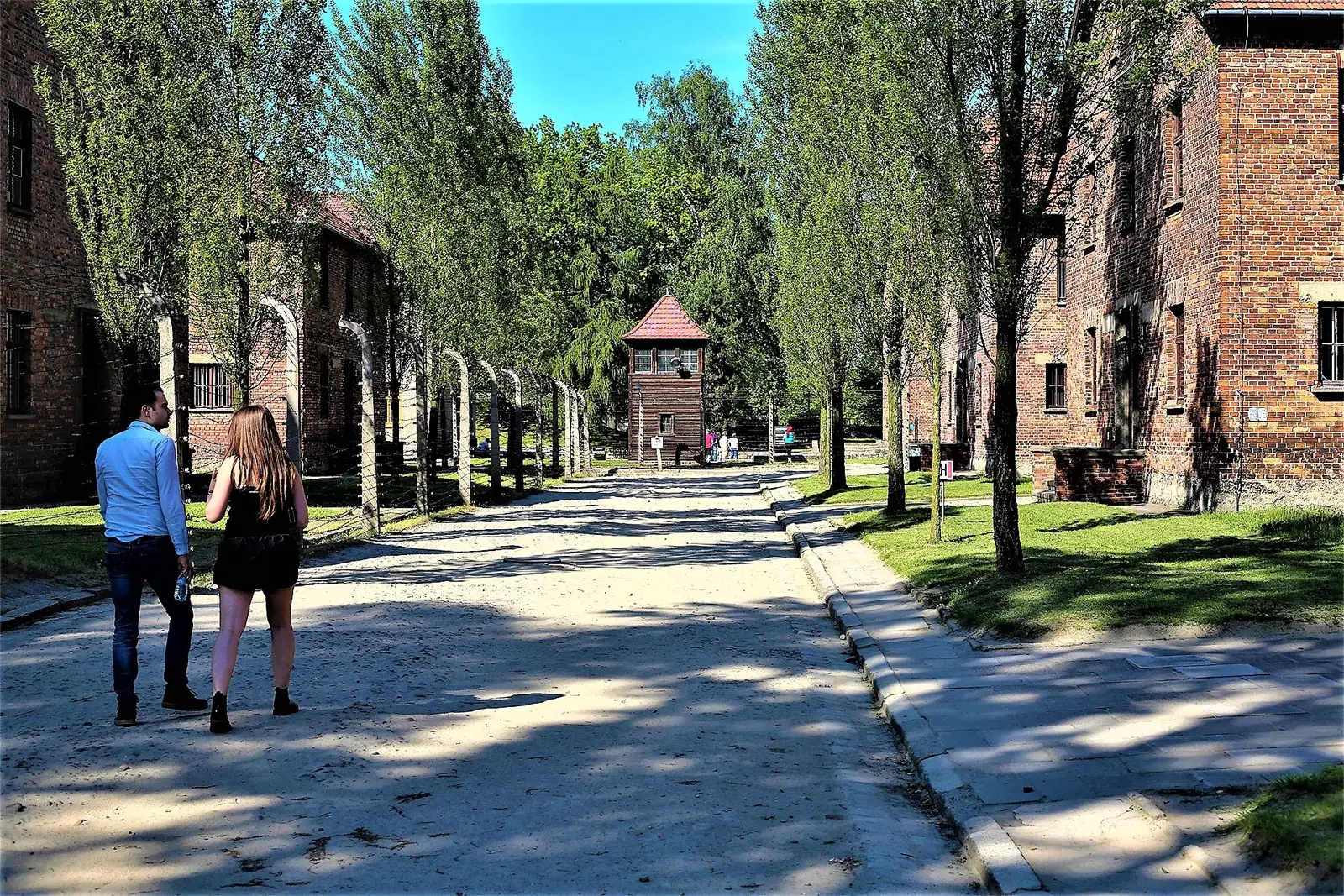 Aleja z drzewami między budynkami Auschwitz I